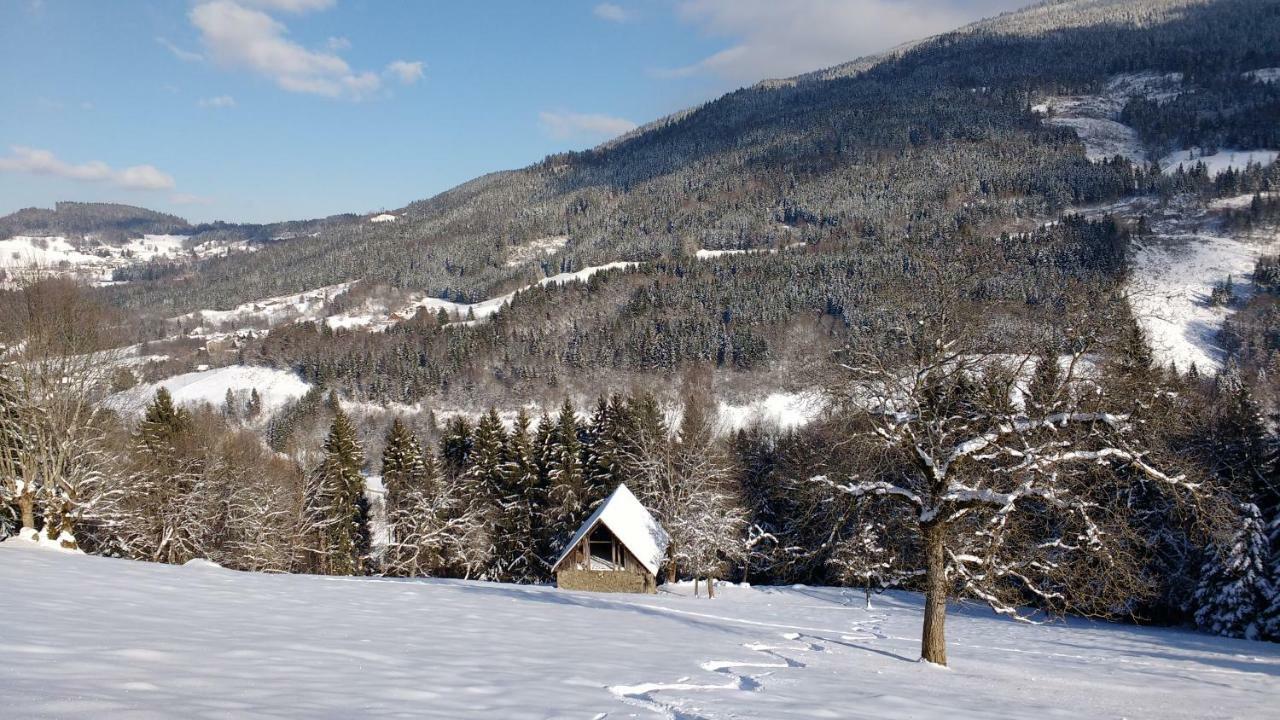 Gite La Chamoussiere Saint-Mury-Monteymond エクステリア 写真